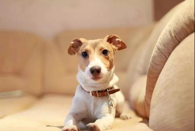 火车返程哪些东西不能带(乘坐火车返程哪些事情一定要注意)图12