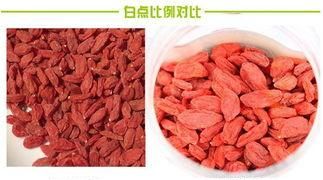 宁夏枸杞的特征如何选购宁夏枸杞图2