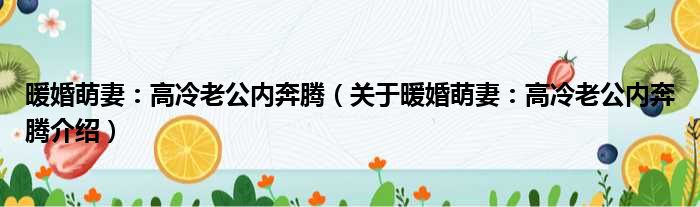 暖婚萌妻：高冷老公内奔腾 关于暖婚萌妻：高冷老公内奔腾介绍
