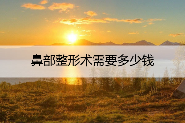 鼻部整形术需要多少钱 鼻部整形价格表