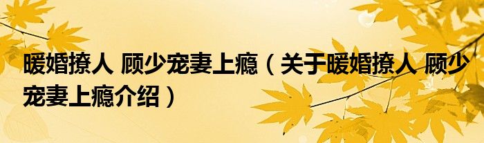 暖婚撩人 顾少宠妻上瘾 关于暖婚撩人 顾少宠妻上瘾介绍