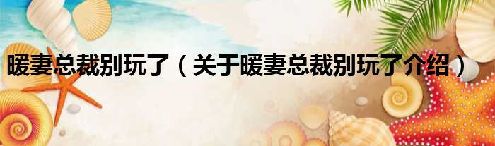 暖妻总裁别玩了 关于暖妻总裁别玩了介绍