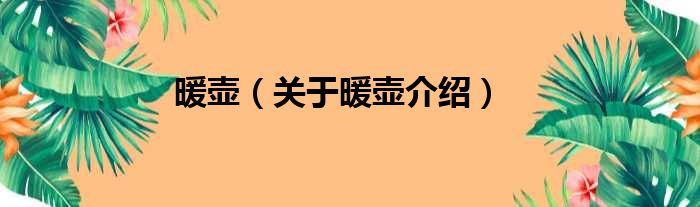 暖壶 关于暖壶介绍