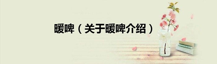 暖啤 关于暖啤介绍