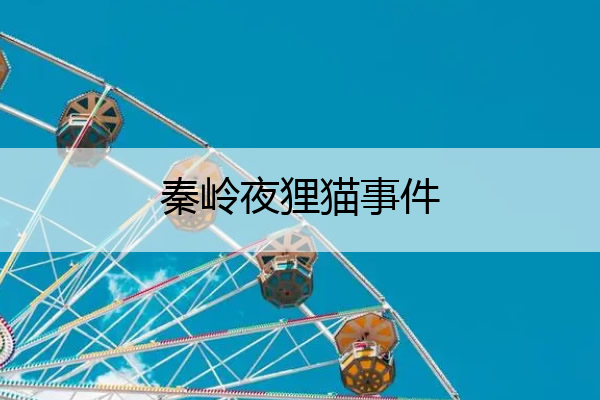 秦岭夜狸猫事件 秦岭夜狸猫事件简介