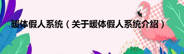 暖体假人系统 关于暖体假人系统介绍