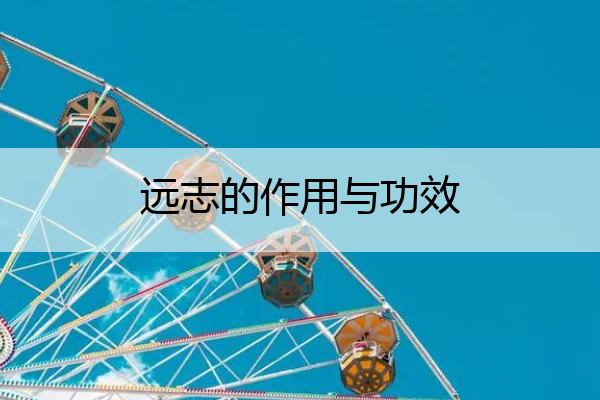 远志的作用与功效 远志的作用与功效及副作用