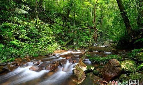 江西九连山国家森林公园 龙南九连山风景区旅游攻略路线
