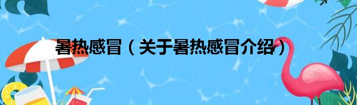 暑热感冒 关于暑热感冒介绍