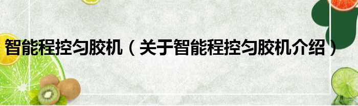 智能程控匀胶机 关于智能程控匀胶机介绍