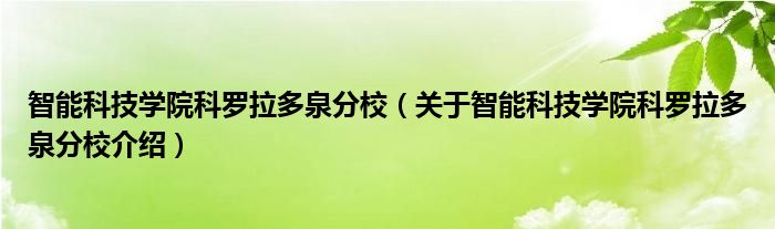 智能科技学院科罗拉多泉分校 关于智能科技学院科罗拉多泉分校介绍