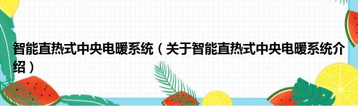 智能直热式中央电暖系统 关于智能直热式中央电暖系统介绍