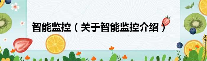 智能监控 关于智能监控介绍