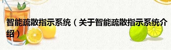 智能疏散指示系统 关于智能疏散指示系统介绍