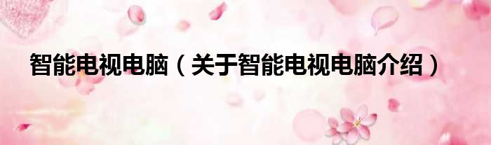 智能电视电脑 关于智能电视电脑介绍