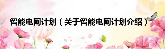 智能电网计划 关于智能电网计划介绍