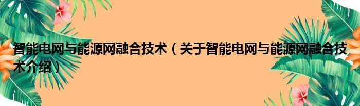 智能电网与能源网融合技术 关于智能电网与能源网融合技术介绍