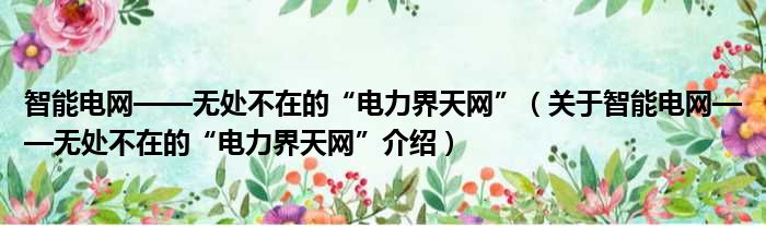 智能电网——无处不在的“电力界天网” 关于智能电网——无处不在的“电力界天网”介绍