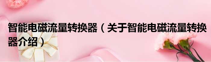 智能电磁流量转换器 关于智能电磁流量转换器介绍