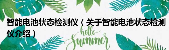 智能电池状态检测仪 关于智能电池状态检测仪介绍