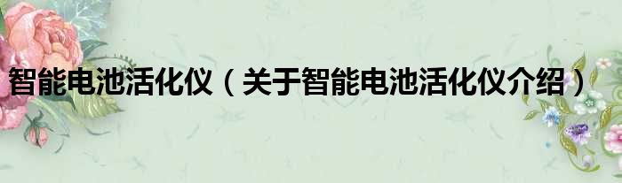 智能电池活化仪 关于智能电池活化仪介绍
