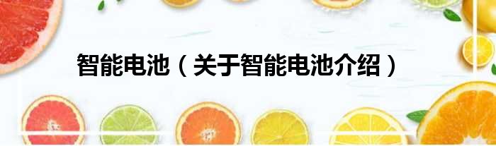 智能电池 关于智能电池介绍