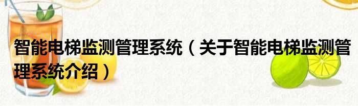智能电梯监测管理系统 关于智能电梯监测管理系统介绍