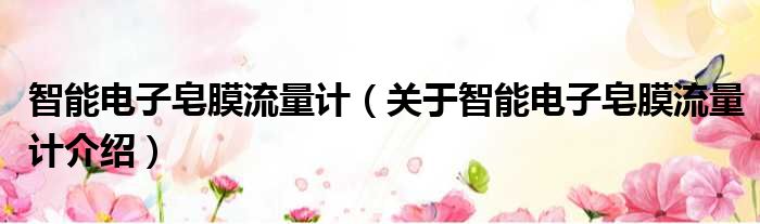 智能电子皂膜流量计 关于智能电子皂膜流量计介绍