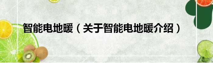 智能电地暖 关于智能电地暖介绍
