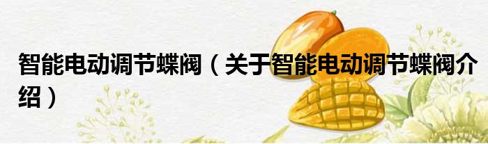 智能电动调节蝶阀 关于智能电动调节蝶阀介绍