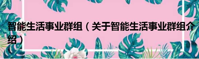 智能生活事业群组 关于智能生活事业群组介绍
