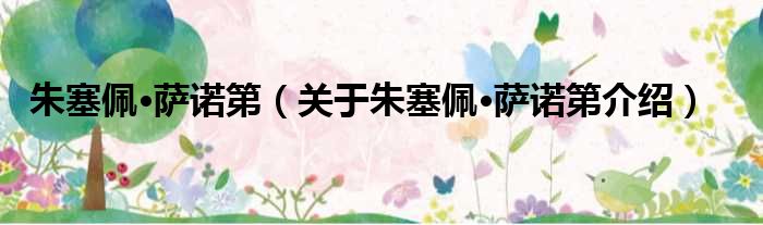 朱塞佩·萨诺第 关于朱塞佩·萨诺第介绍