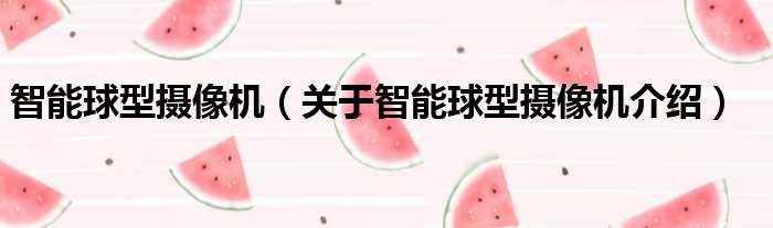 智能球型摄像机 关于智能球型摄像机介绍