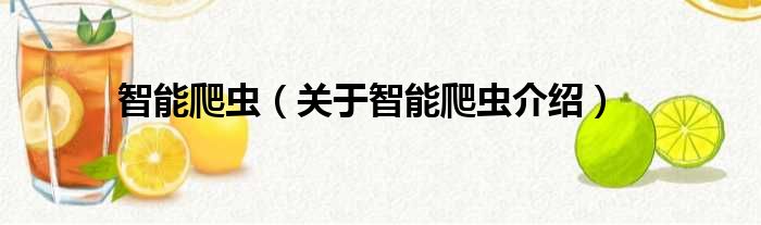 智能爬虫 关于智能爬虫介绍