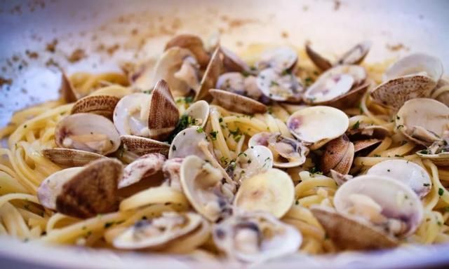 花甲蛏子扇贝怎么区分