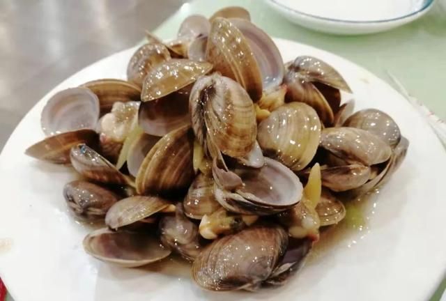 花甲蛏子扇贝怎么区分图6