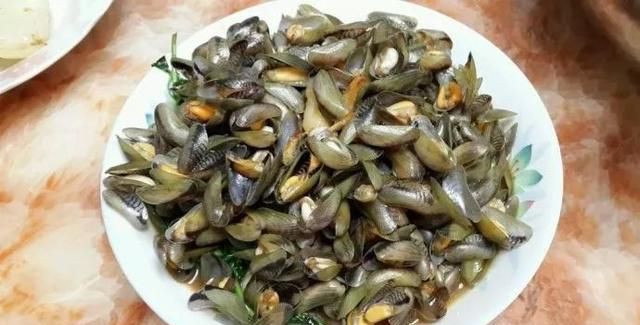 花甲蛏子扇贝怎么区分图7