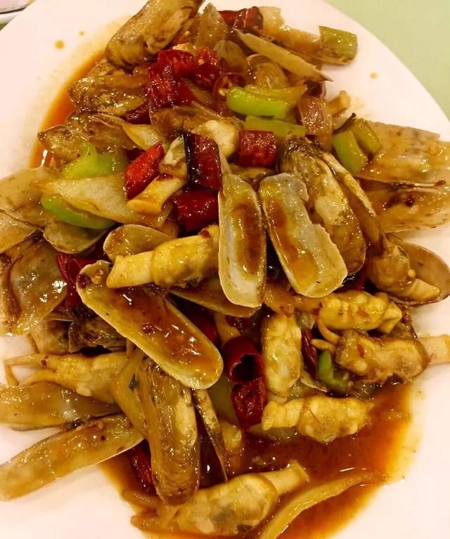 花甲蛏子扇贝怎么区分图10