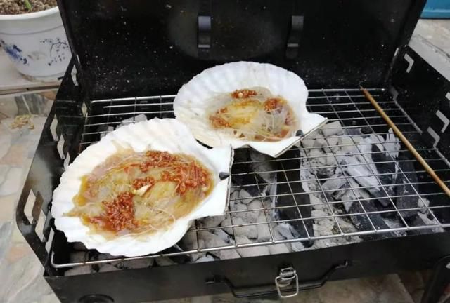 花甲蛏子扇贝怎么区分图13