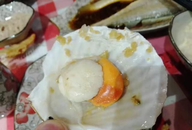 花甲蛏子扇贝怎么区分图14