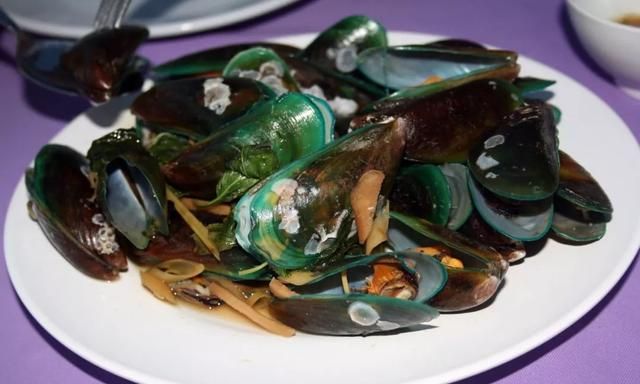 花甲蛏子扇贝怎么区分图15