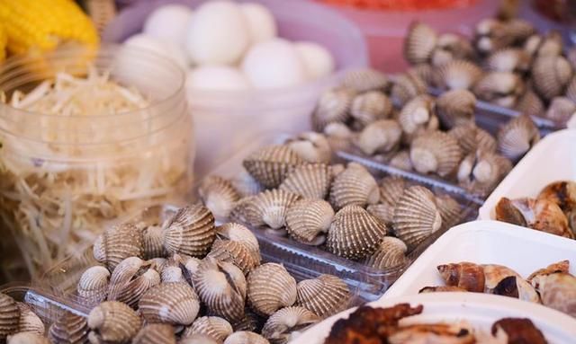 花甲蛏子扇贝怎么区分图18