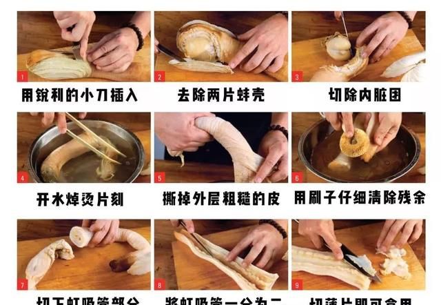 花甲蛏子扇贝怎么区分图19