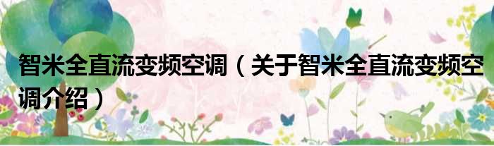 智米全直流变频空调 关于智米全直流变频空调介绍