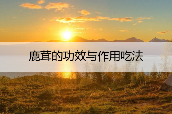 鹿茸的功效与作用吃法 鹿茸的功效与作用吃法和禁忌