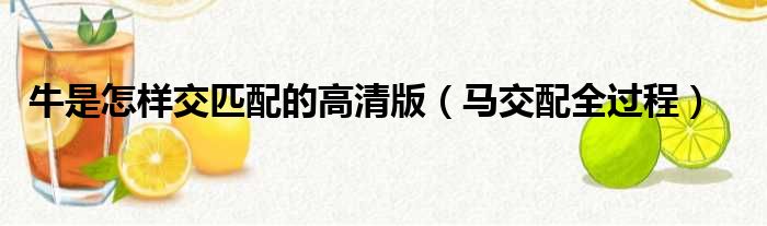 牛是怎样交匹配的高清版 马交配全过程