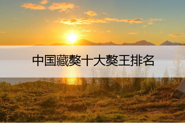 中国藏獒十大獒王排名 中国十大猛犬