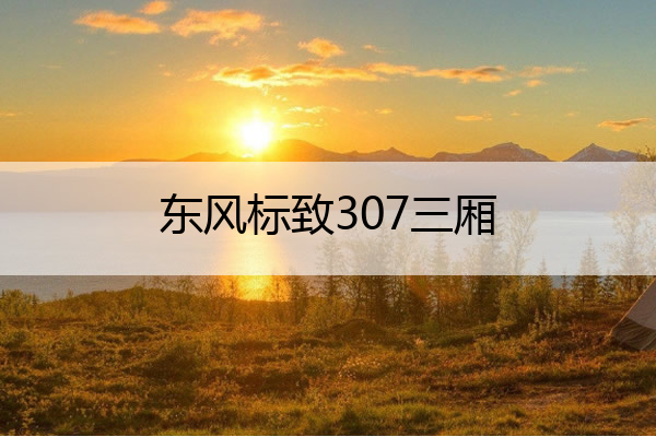 东风标致307三厢 东风标致307三厢参数