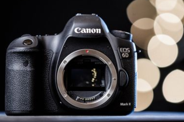 佳能单反防伪码在哪