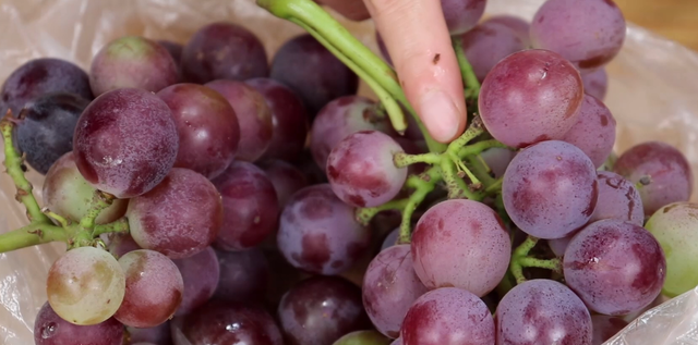 葡萄用清水洗了吃会生病吗 吃葡萄前应该怎样洗葡萄